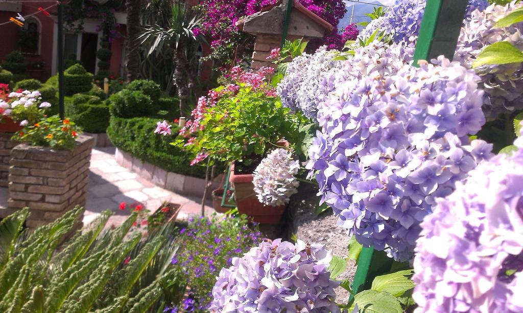 Apartment City Garden Kotor Zimmer foto