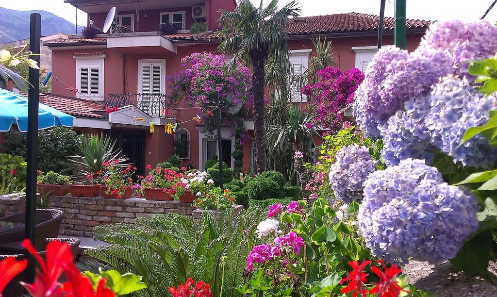 Apartment City Garden Kotor Zimmer foto